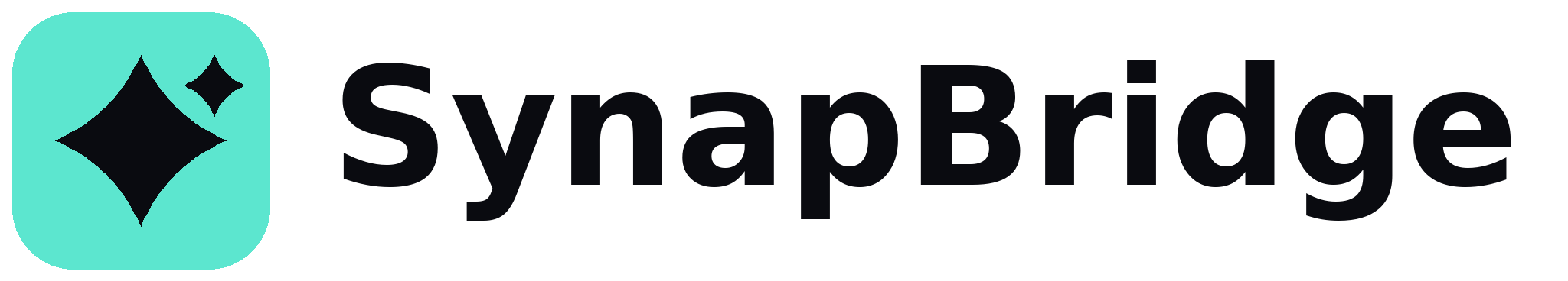 SynapBridge logo for light backgrounds